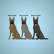 Load image into Gallery viewer, Dutch Shepherd Bezel Keychain - personalized
