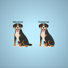 Load image into Gallery viewer, Entlebucher Mountain Dog Bezel Keychain - personalized
