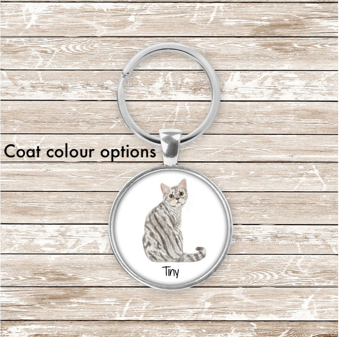 Domestic shorthair tabby cat keychain personalized