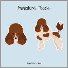 Load image into Gallery viewer, Miniature Poodle (Parti) Vinyl Sticker Set
