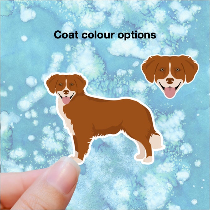 Nova Scotia Duck Tolling Retriever Vinyl Sticker Set