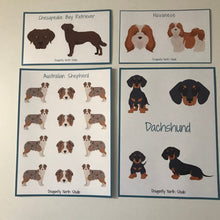 Load image into Gallery viewer, Dachshund (longhaired) Vinyl Sticker Sheet
