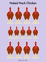 Load image into Gallery viewer, Naked Neck chicken vinyl sticker sheet
