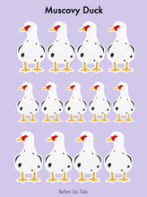 Load image into Gallery viewer, Muscovy duck vinyl sticker sheet
