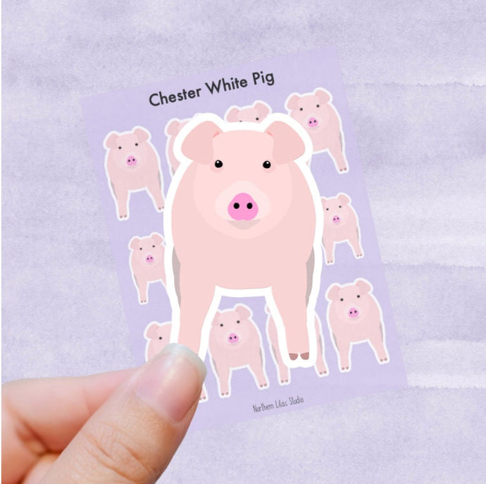 Chester White Pig vinyl sticker sheet