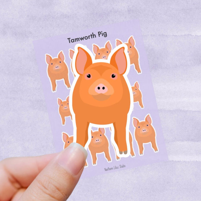 Tamworth Pig vinyl sticker sheet