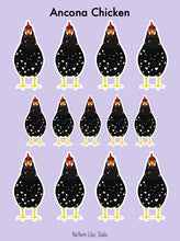 Load image into Gallery viewer, Ancona chicken vinyl sticker sheet
