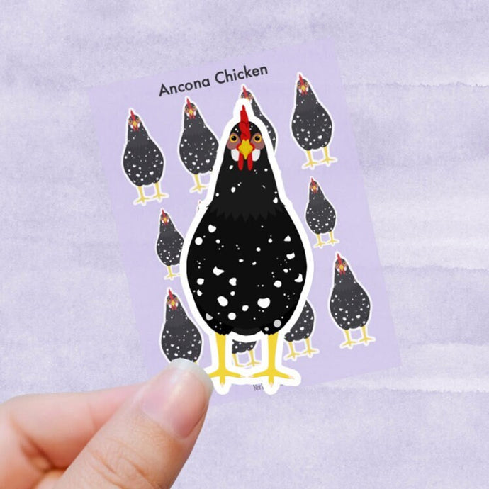 Ancona chicken vinyl sticker sheet