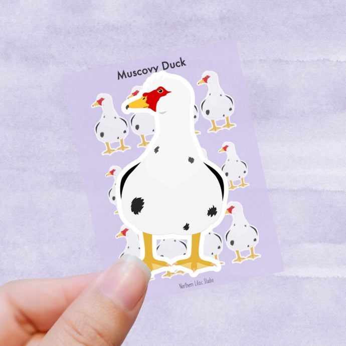 Muscovy duck vinyl sticker sheet