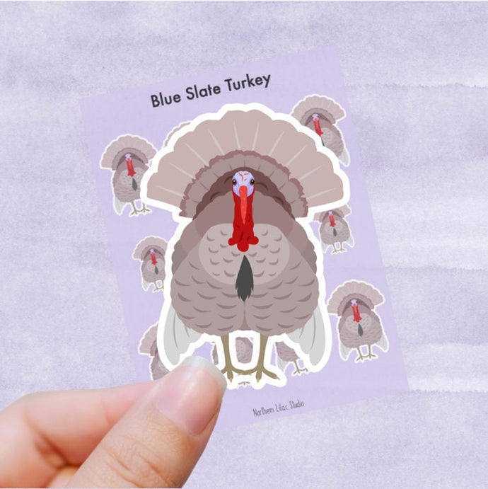 Blue Slate Turkey vinyl sticker sheet