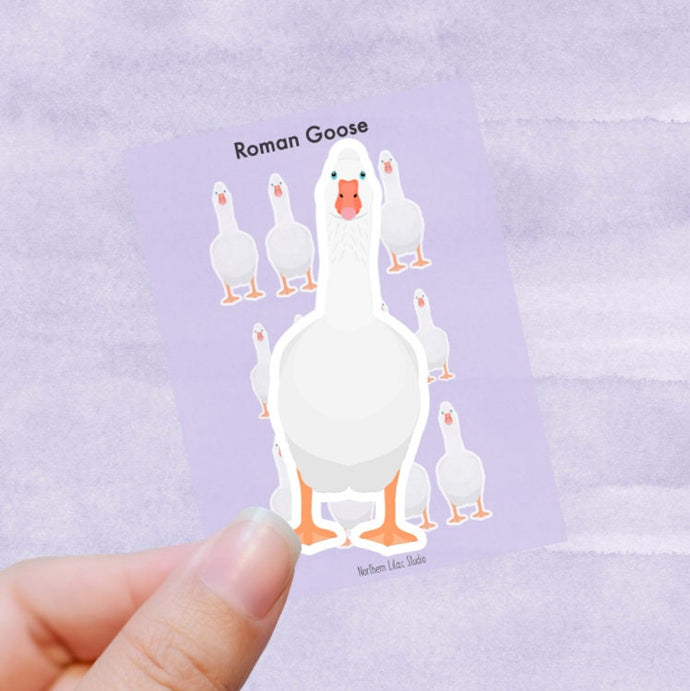 Roman Goose vinyl sticker sheet