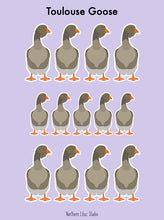 Load image into Gallery viewer, Toulouse Goose vinyl sticker sheet
