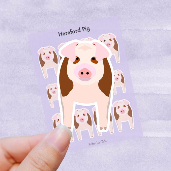 Hereford Pig vinyl sticker sheet