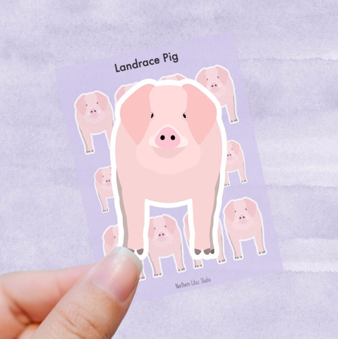 Landrace Pig vinyl sticker sheet