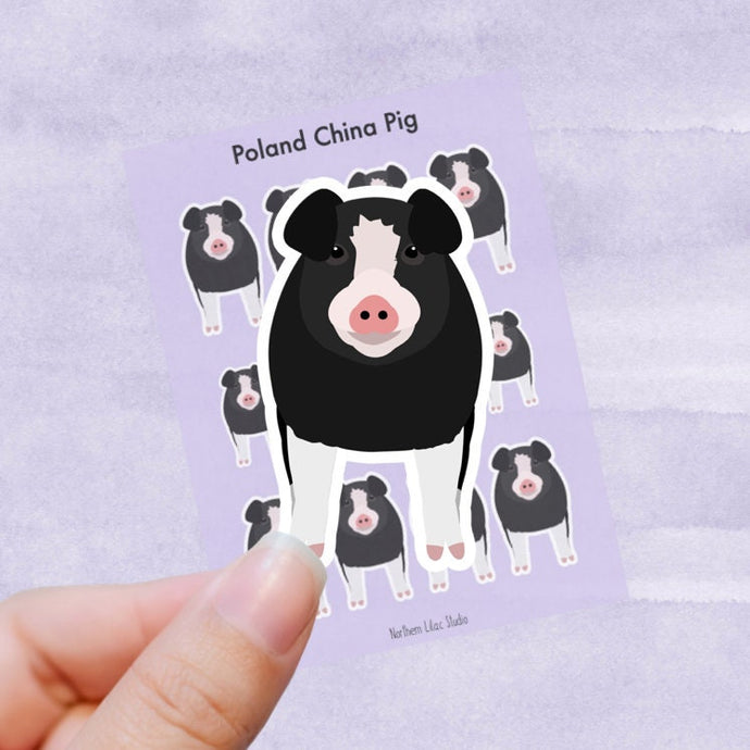 Poland China Pig vinyl sticker sheet