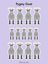 Load image into Gallery viewer, Pygmy Goat vinyl sticker sheet
