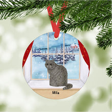 Load image into Gallery viewer, Exotic Shorthair Cat ornament personalized
