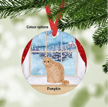 Load image into Gallery viewer, Exotic Shorthair Cat ornament personalized
