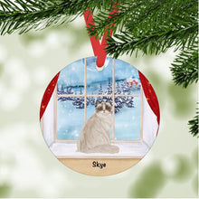 Load image into Gallery viewer, Ragamuffin Cat ornament personalized
