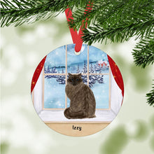 Load image into Gallery viewer, Ragdoll Cat ornament personalized
