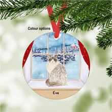 Load image into Gallery viewer, Ragdoll Cat ornament personalized
