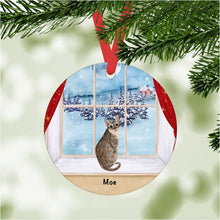 Load image into Gallery viewer, Singapura Cat ornament personalized
