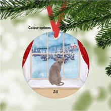 Load image into Gallery viewer, Sphynx Cat ornament personalized
