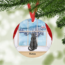 Load image into Gallery viewer, Domestic Shorthair Cat ornament personalized
