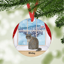 Load image into Gallery viewer, Exotic Shorthair Cat ornament personalized
