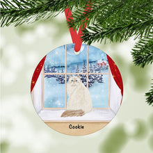 Load image into Gallery viewer, Himalayan Cat ornament personalized
