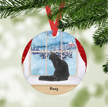 Load image into Gallery viewer, Maine Coon Cat ornament personalized
