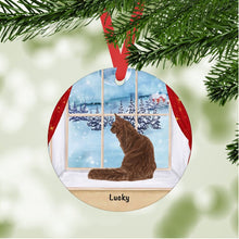 Load image into Gallery viewer, Maine Coon Cat ornament personalized
