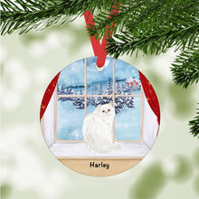 Load image into Gallery viewer, Persian Cat ornament personalized
