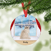 Load image into Gallery viewer, Ragamuffin Cat ornament personalized
