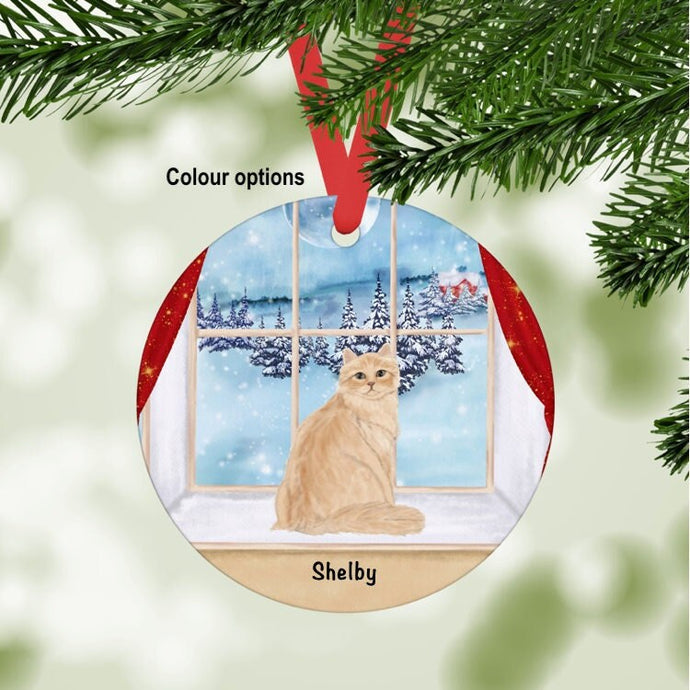 Ragamuffin Cat ornament personalized