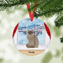 Load image into Gallery viewer, Ragdoll Cat ornament personalized
