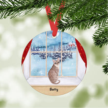 Load image into Gallery viewer, Singapura Cat ornament personalized
