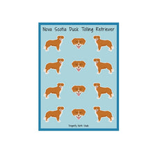 Load image into Gallery viewer, Nova Scotia Duck Tolling Retriever Vinyl Sticker Sheet
