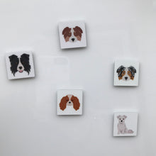 Load image into Gallery viewer, Tibetan Spaniel 1 inch magnet set
