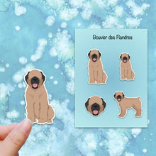 Load image into Gallery viewer, Bouvier des Flandres (docked) Vinyl Sticker Set
