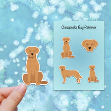 Load image into Gallery viewer, Chesapeake Bay Retriever Vinyl Stickers Set
