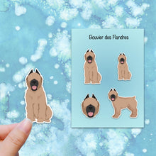 Load image into Gallery viewer, Bouvier des Flandres (cropped and docked) Vinyl Sticker Set
