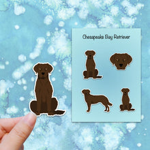 Load image into Gallery viewer, Chesapeake Bay Retriever Vinyl Stickers Set
