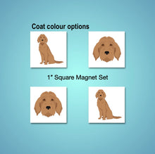 Load image into Gallery viewer, Goldendoodle 1 inch magnet set
