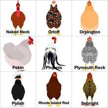 Load image into Gallery viewer, Chicken Breed Christmas Ornament Personalized
