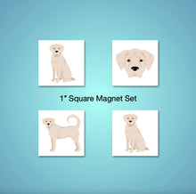 Load image into Gallery viewer, Akbash 1 inch magnet set
