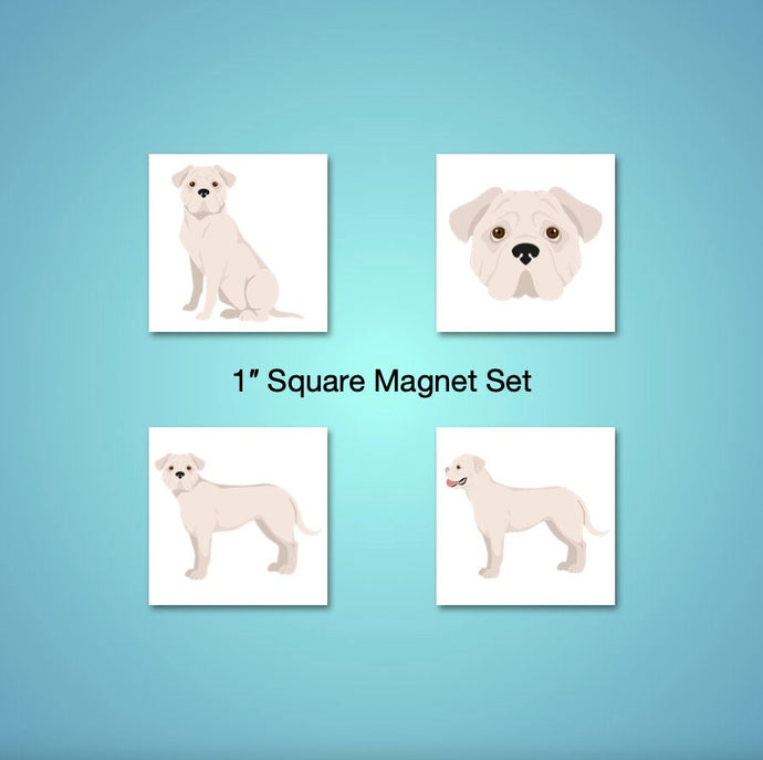 American Bulldog 1 inch magnet set