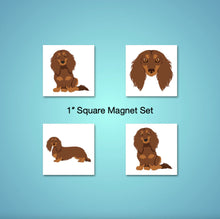 Load image into Gallery viewer, Dachshund (longhaired) 1 inch magnet set
