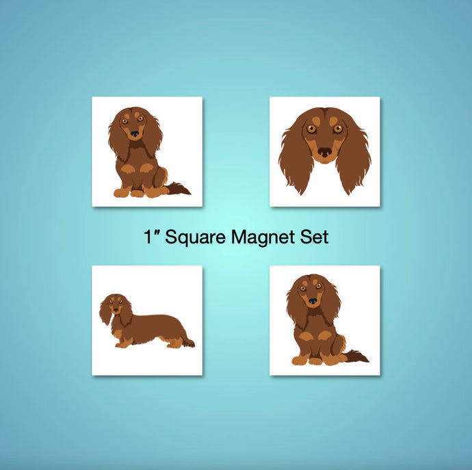 Dachshund (longhaired) 1 inch magnet set