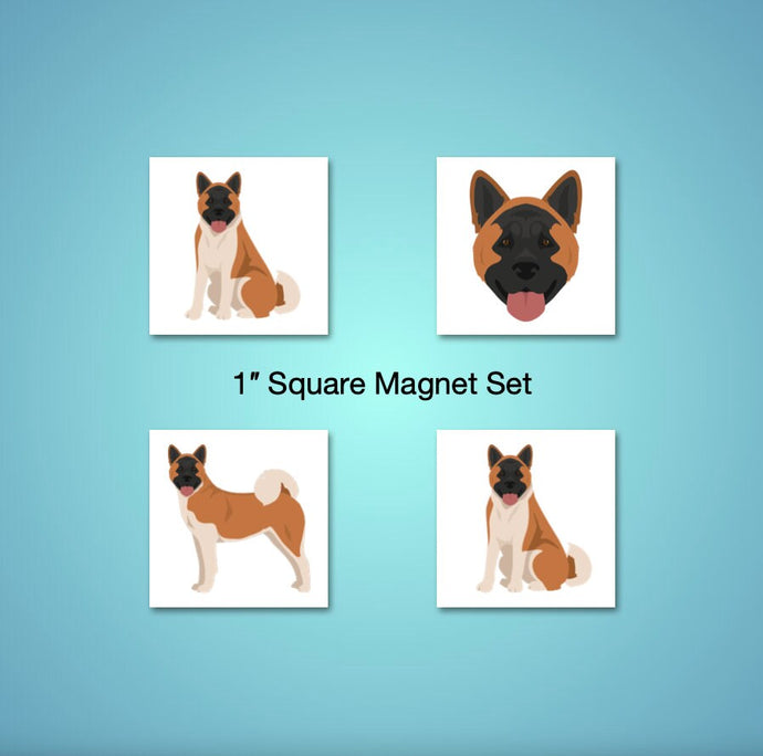 Akita 1 inch magnet set